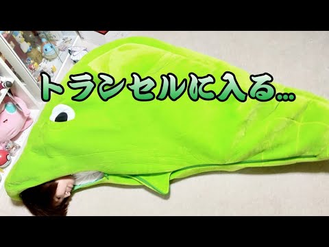 絶対に出たくないトランセル【ポケモン購入品紹介】プレミアムバンダイ
