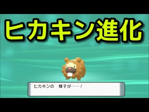 【ポケモン ダイパリメイク】ヒカキンがビーダルに進化する瞬間『ポケットモンスター ブリリアントダイヤモンド・シャイニングパール』
