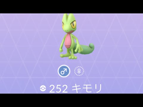 ポケモンGO キモリ ゲット！