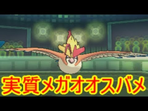 【ポケモンＵＳＭ】メガオオスバメ実装を願ってます【ポケモンレートの闇】
