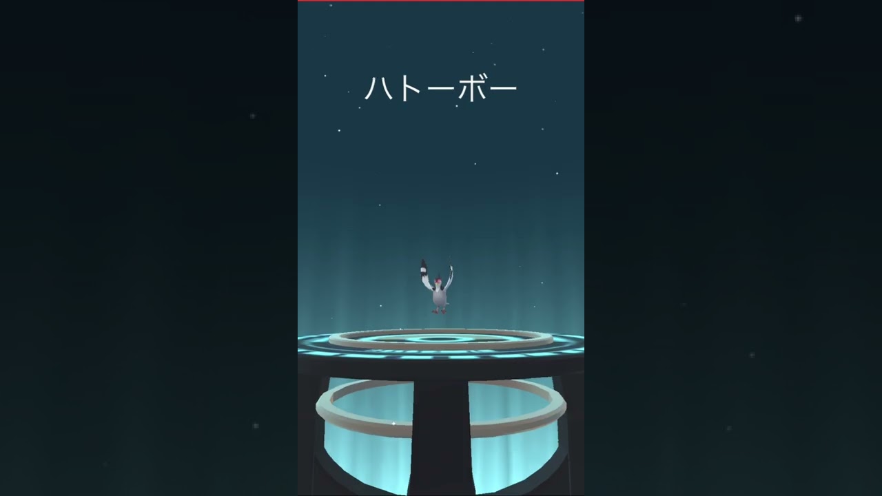 【ポケモンGO】マメパト（メス）の進化