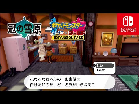 【ポケモン剣盾】冠の雪原 コスモッグ入手【ポケモンソードシールド DLC エキスパンションパス】