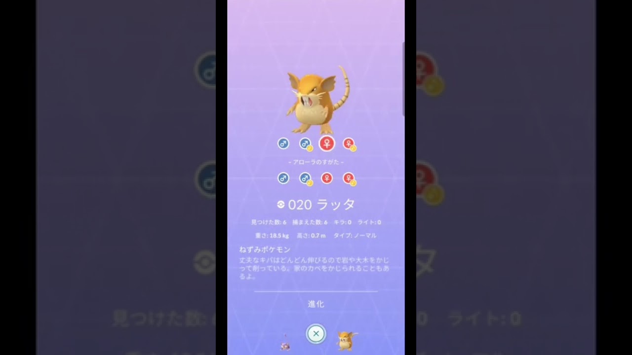 コラッタ色違い&アローラコラッタ色違い【色違いポケモン】ダイパリメイク