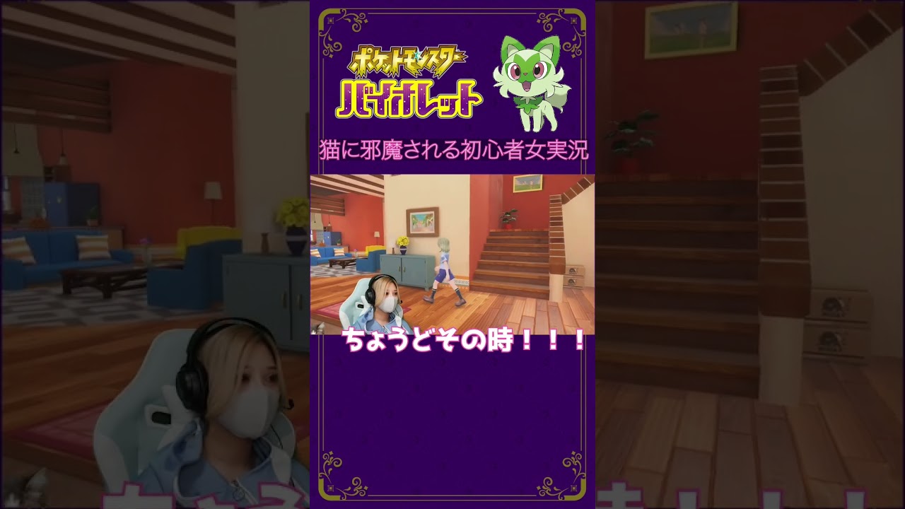 【ポケモンsv】飼い猫をホシガリス呼ばわりで猫激怒！！