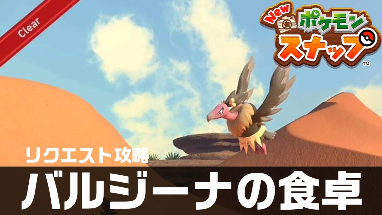 バルジーナの食卓【Newポケモンスナップ・リクエスト攻略】