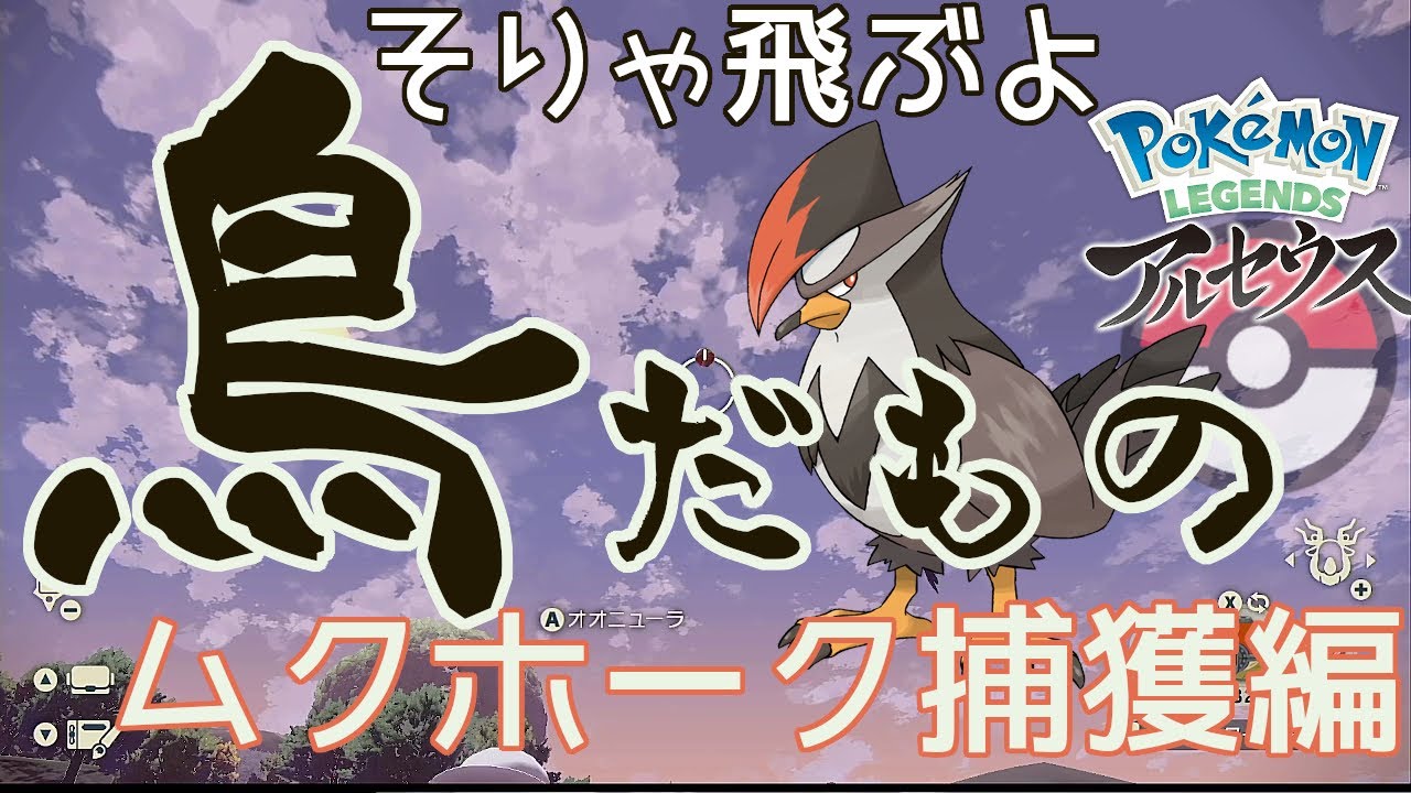 序盤から可能！やっぱりモンスターボールで空飛ぶムクホークを捕まえたい 〜ムクホークの出現場所と捕獲方法解説、ムクバードのオヤブンの出現場所〜【ポケモンアルセウス】