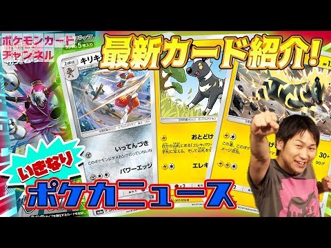 【初公開】キリキザン＆ゼブライカ！少ないエネで大打撃！