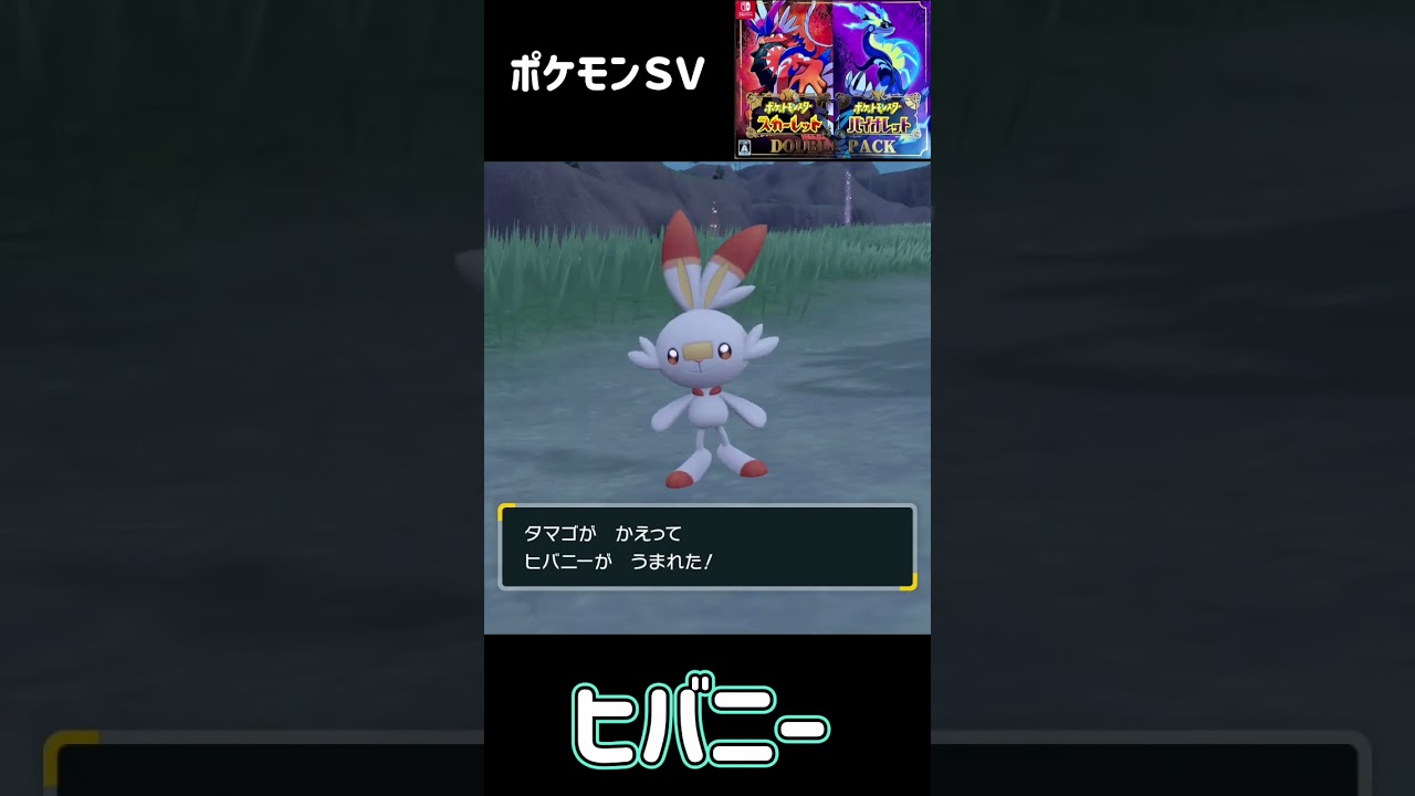 ポケモンＳＶ　ヒバニー進化　ラビフット進化　エースバーン