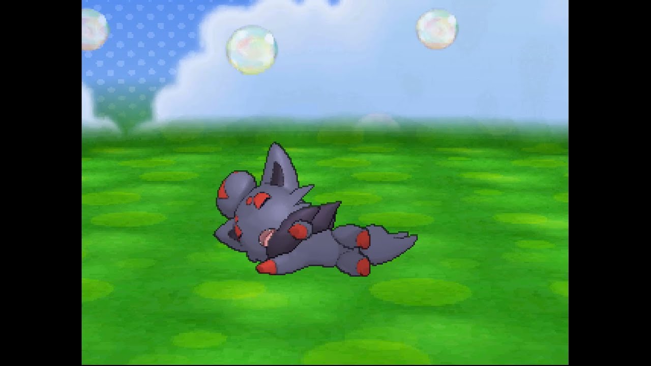 ポケパルレ　ゾロアと戯れるだけの動画