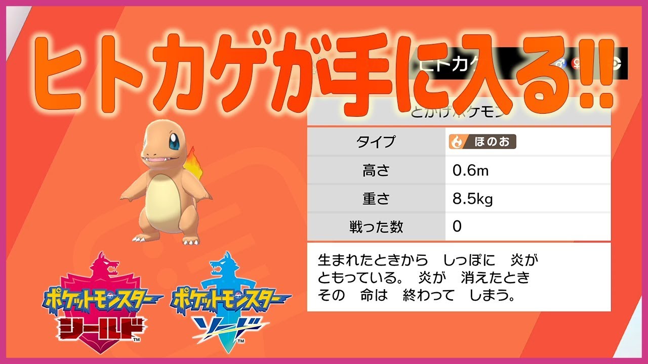 【ポケットモンスター ソード＆シールド】ヒトカゲ入手方法【プレイ動画】