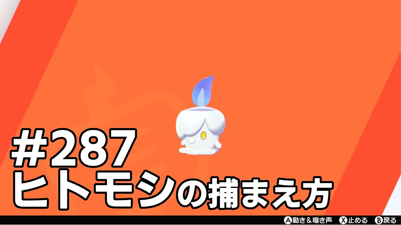 ヒトモシを探している方に見てほしい動画