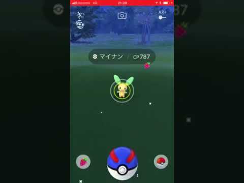マイナン色違いも間に合いました(^ ^)ポケモンGO