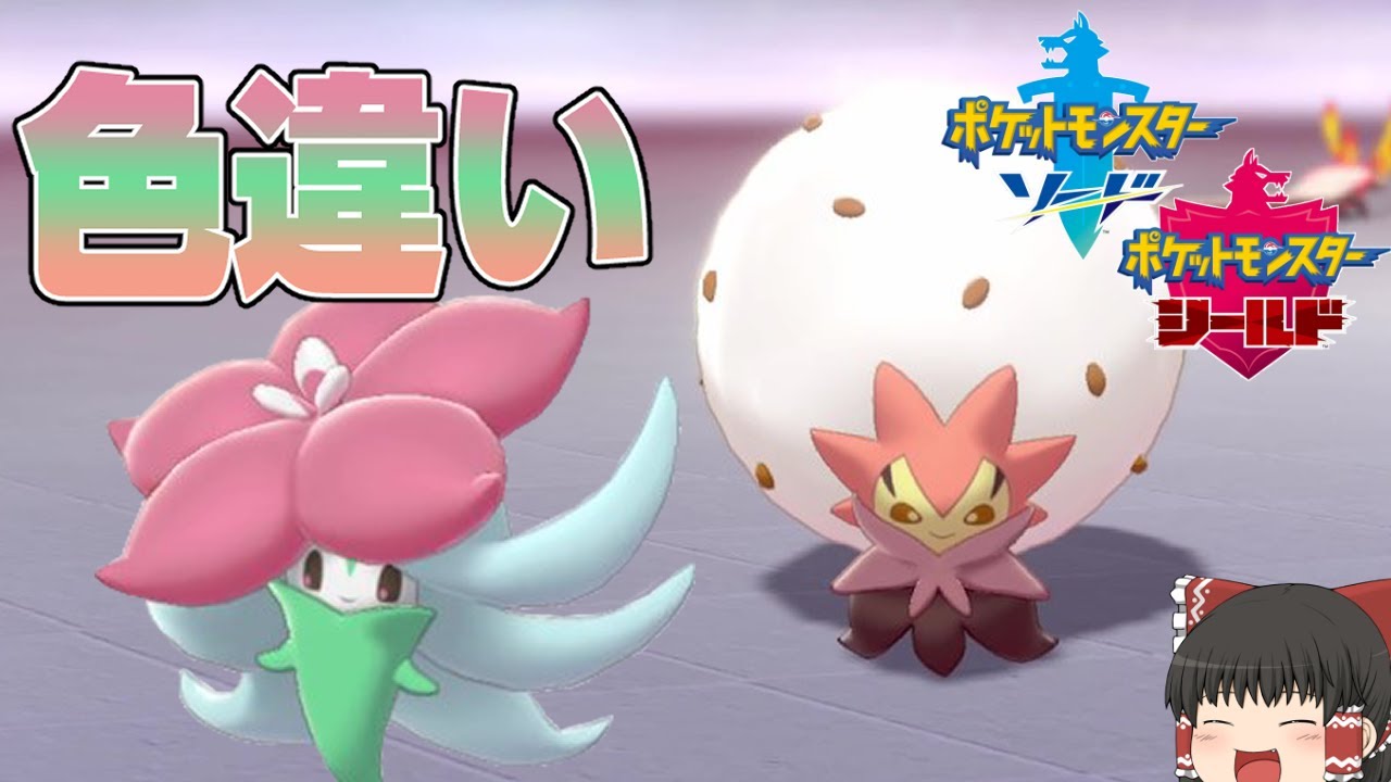 【ポケモン剣盾】進化前も進化後も可愛いワタシラガ色違い【ゆっくり実況】色違い♯6