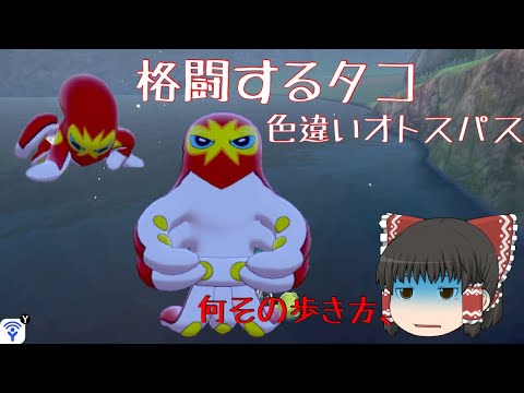 【ポケモン色違い】独特な歩き方 色違いオトスパス ゆっくり実況