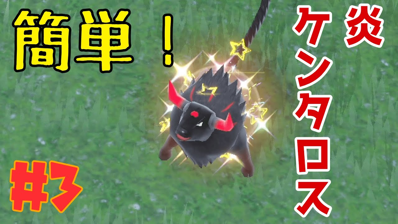 【ポケモンSV】SV色厳選part3　炎ケンタロスの色厳選が簡単にできたので解説と色証捕まえてみた！【ゆっくり実況】