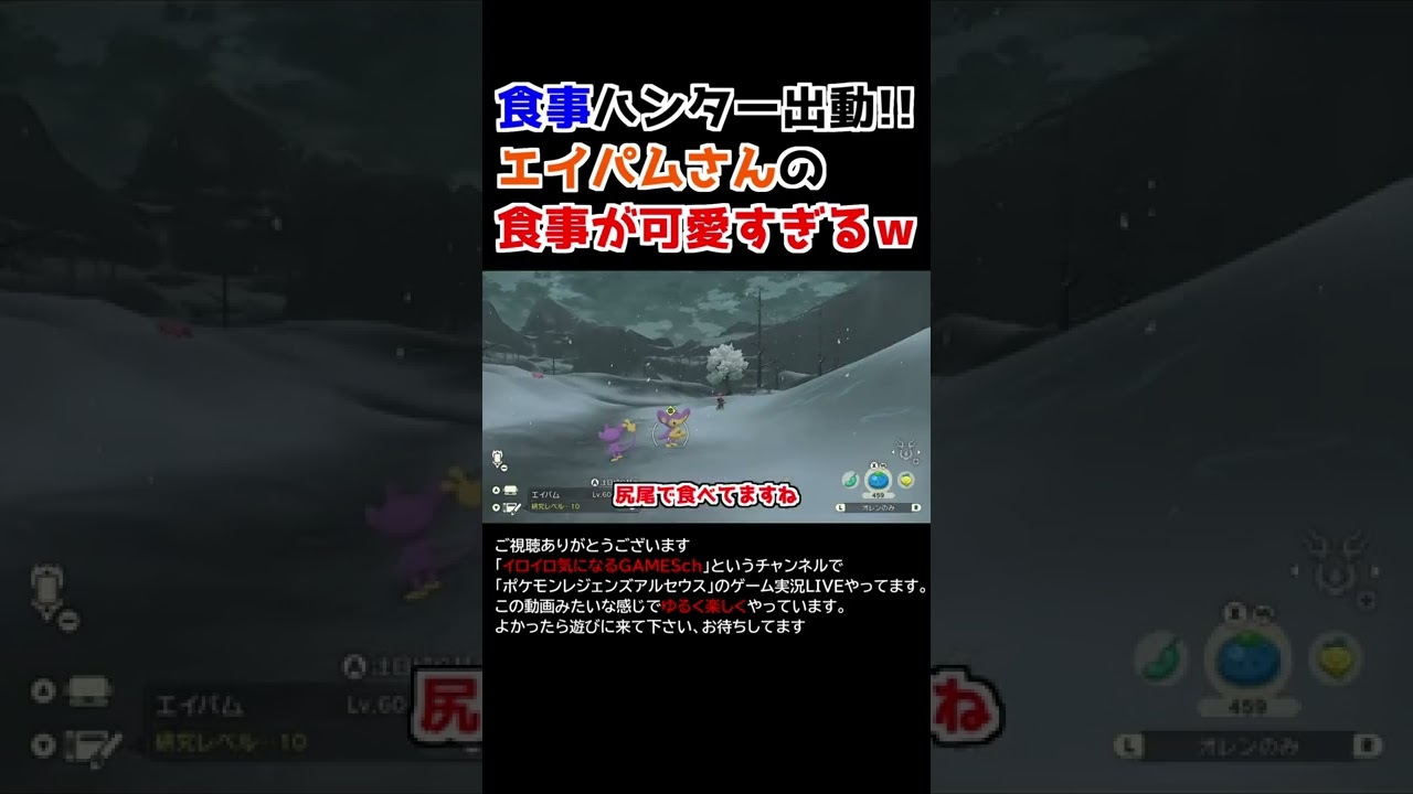 エイパムさんの「食事」が可愛すぎるww【Pokémon LEGENDS アルセウス】【食事ハンター】
