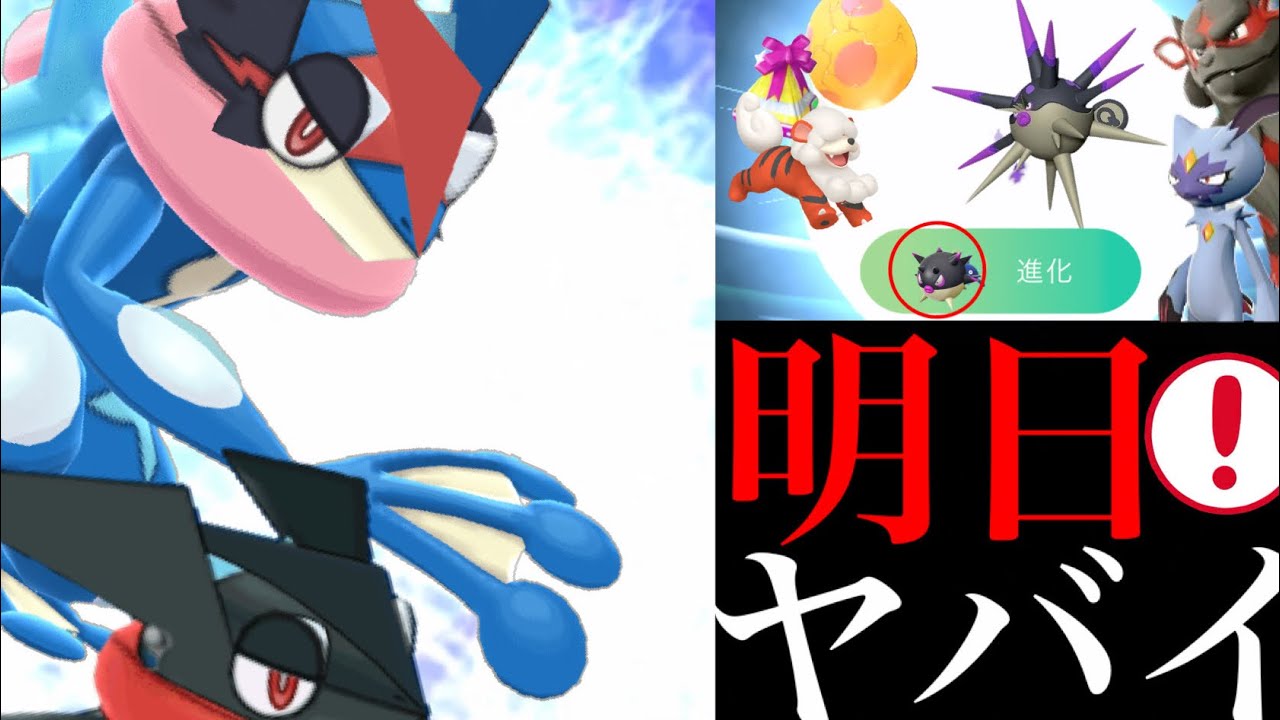 【ポケモンGO 解析】明日から超重要！！あの〇〇特別な進化は超難関？サトシゲッコウガや“みずしゅりけん”はコミュデイに期待・・？【Ash greninja・ハリーマン・オオニューラ・7kmタマゴ】