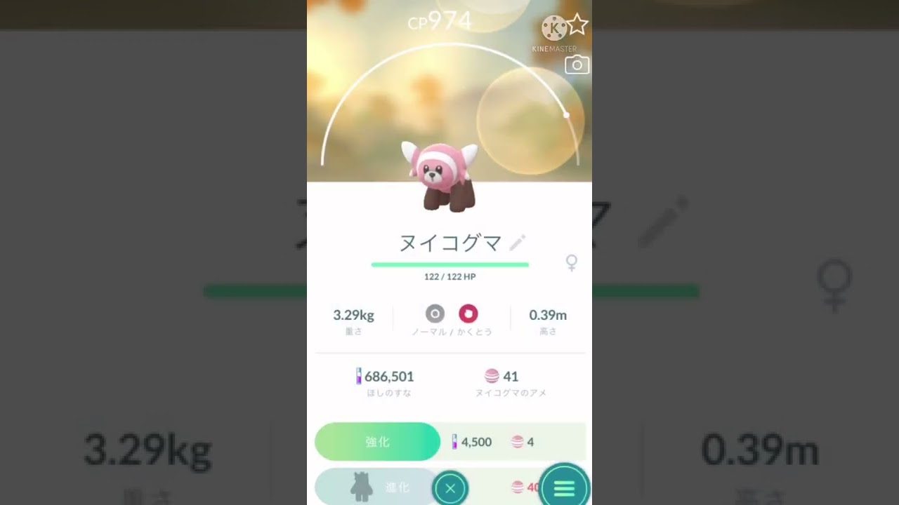 【ポケモンGO】ヌイコグマの強化した時の仕草が可愛い【色違い】