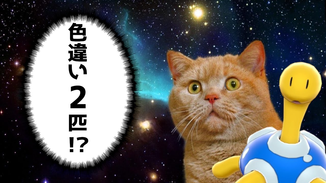 ツボツボの色違い2匹を捕まえるのに15時間以上掛かりました...[ポケモンゆっくり実況]