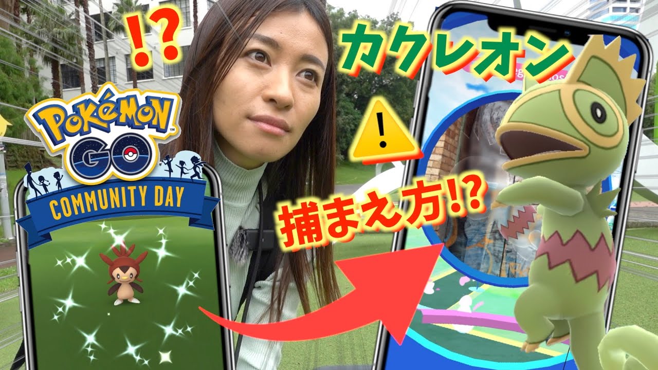 【速報】カクレオンが初登場！！捕まえてわかった注意事項とは！？ハリマロンのコミュニティデイやってたらとんでもないトラブルが起きました!!!【ポケモンGO】