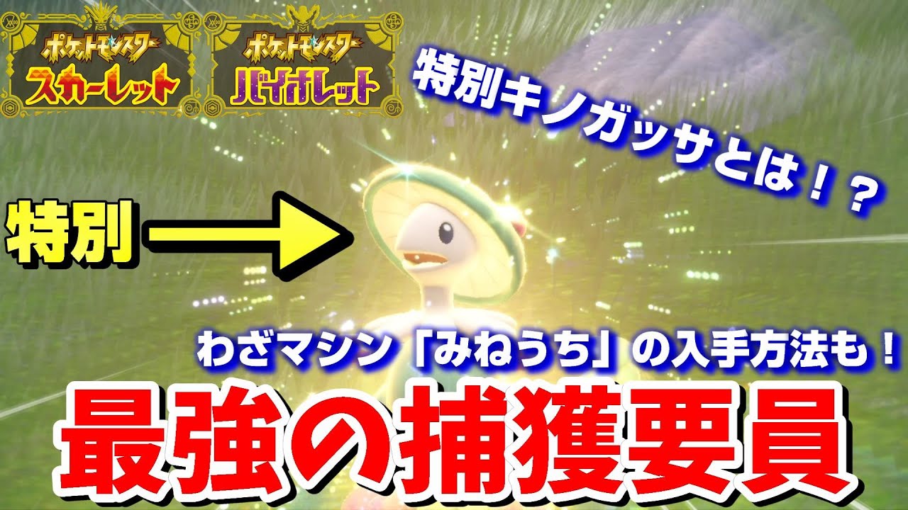 【ポケモンSV】捕獲要因はこいつで決まり！！特別仕様のキノガッサとわざマシン「みねうち」の入手方法をご紹介！！！【ポケモンスカーレットバイオレット】