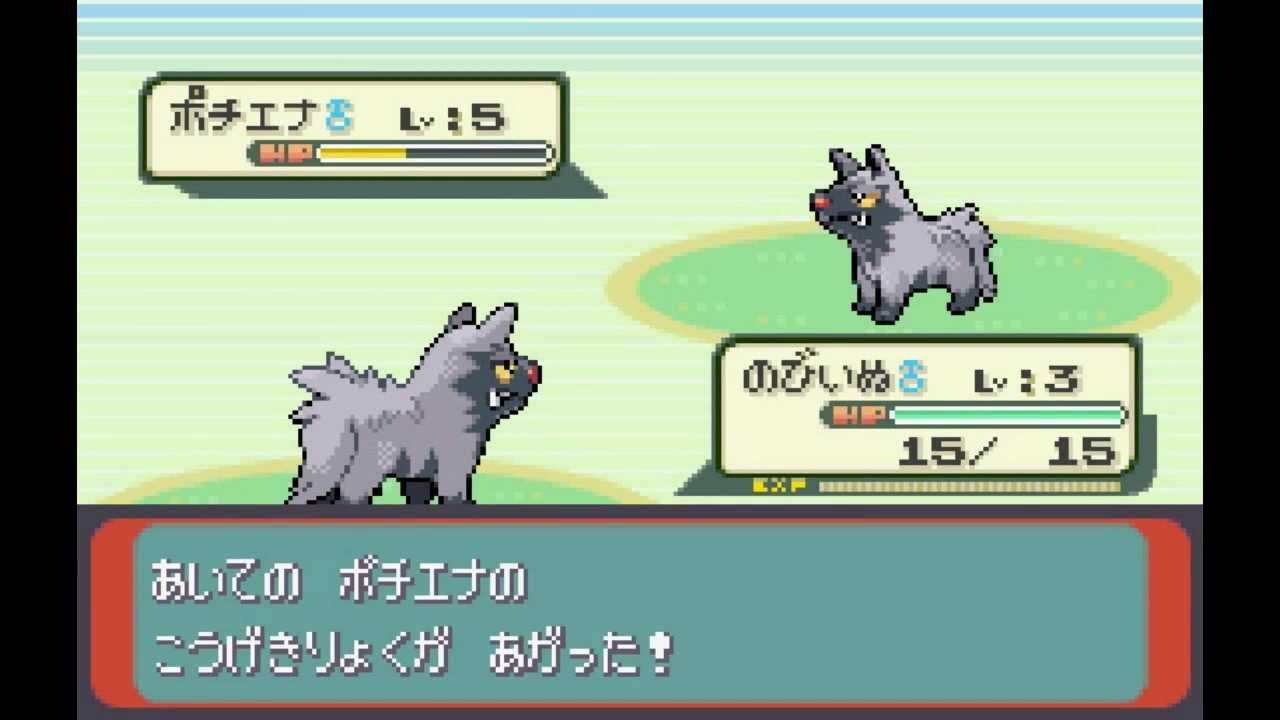 【ポケモン縛り】愛犬ポチエナ（グラエナ）とホウエン地方を制覇の旅 Part.1【ゆっくり有】