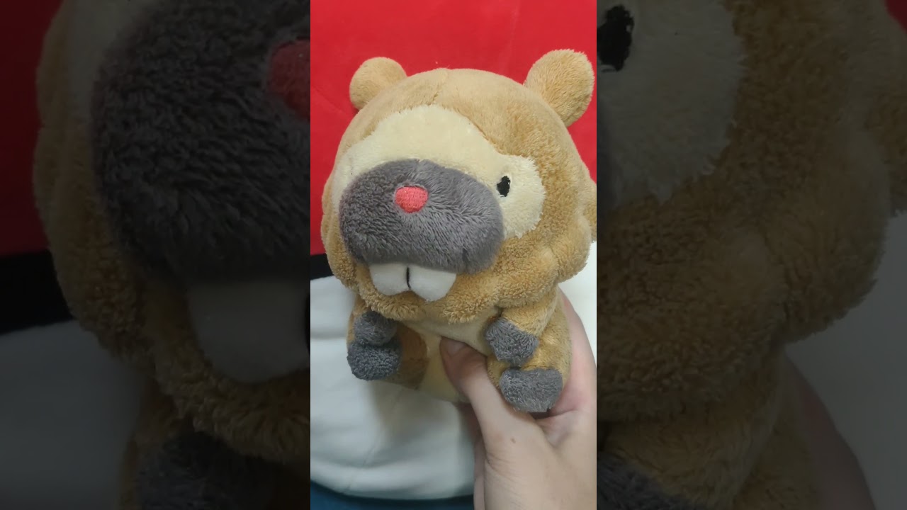 ビッパ！ビッパ！ビッパ！ビッパ　#short