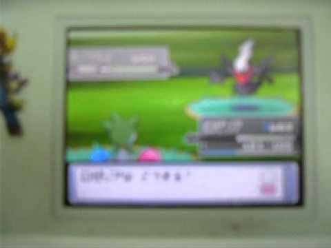 ロゼリアｖｓダークライ