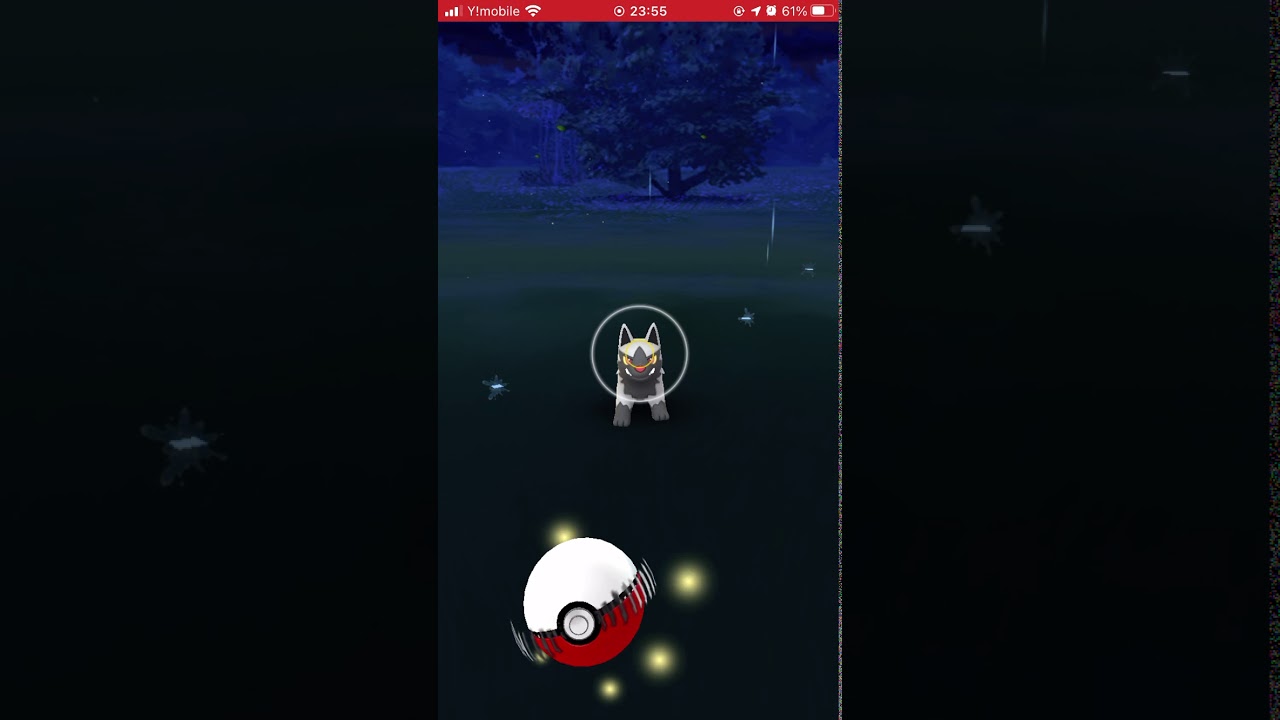 【ポケモンGO】ポチエナを初ゲット