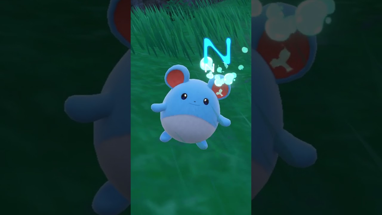 ねむいけどからげんきマリル #Shorts