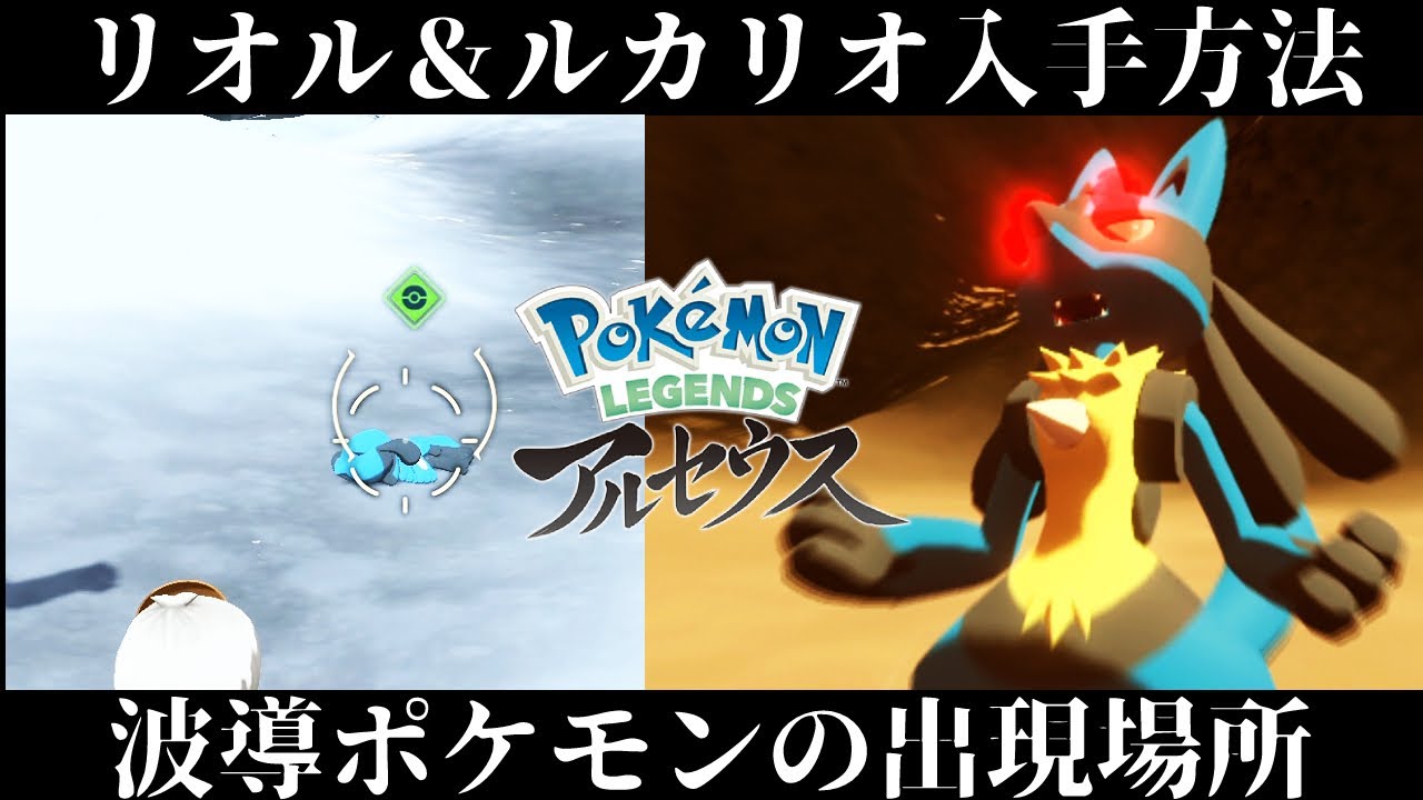 【ポケモンアルセウス】ルカリオ/リオルの入手方法と出現場所！波導の勇者は今作もかっこいいぞ！！【レジェンズ】