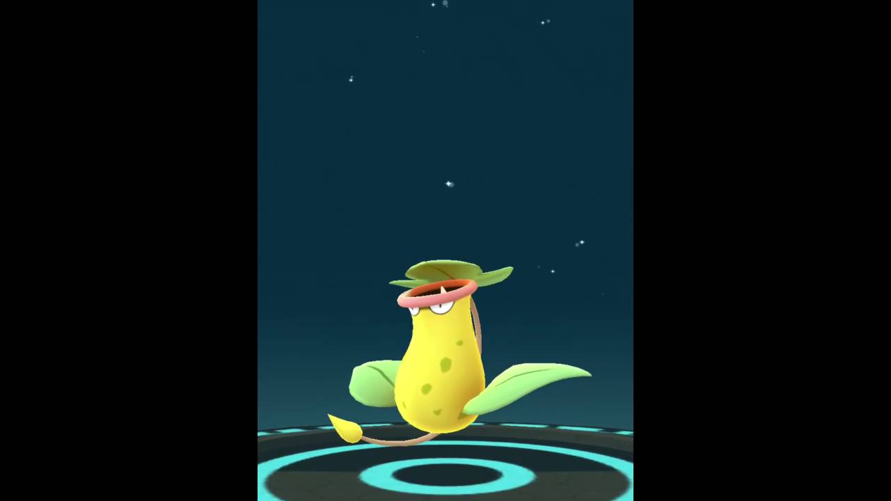 【ポケモンGO】マダツボミから一気に進化!!ウツボット ポケモンGO