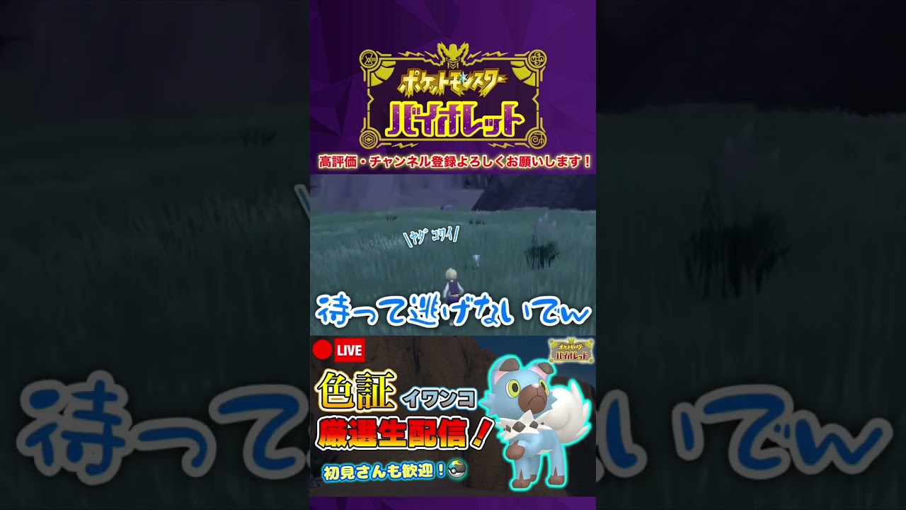 【ポケモンSV】色違いイワンコと出会って有頂天になり「ほろびのうた」を発動させる男 #shorts