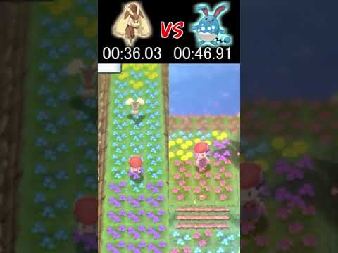 マリルリ VS ミミロップ 速いのはどっち？【ポケモンBDSP】#shorts