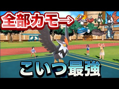 【初心者必見】ボタン押してるだけで勝ててしまう『すてみ』ムクホークがまじで強すぎるｗｗｗｗｗｗ【ポケモンSV】