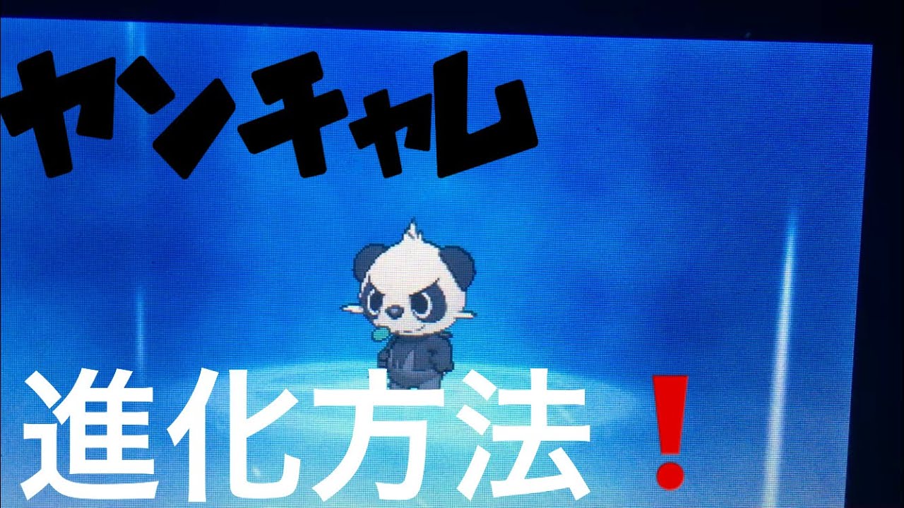 【ポケモンウルトラサンムーン】 ヤンチャム進化方法❗️