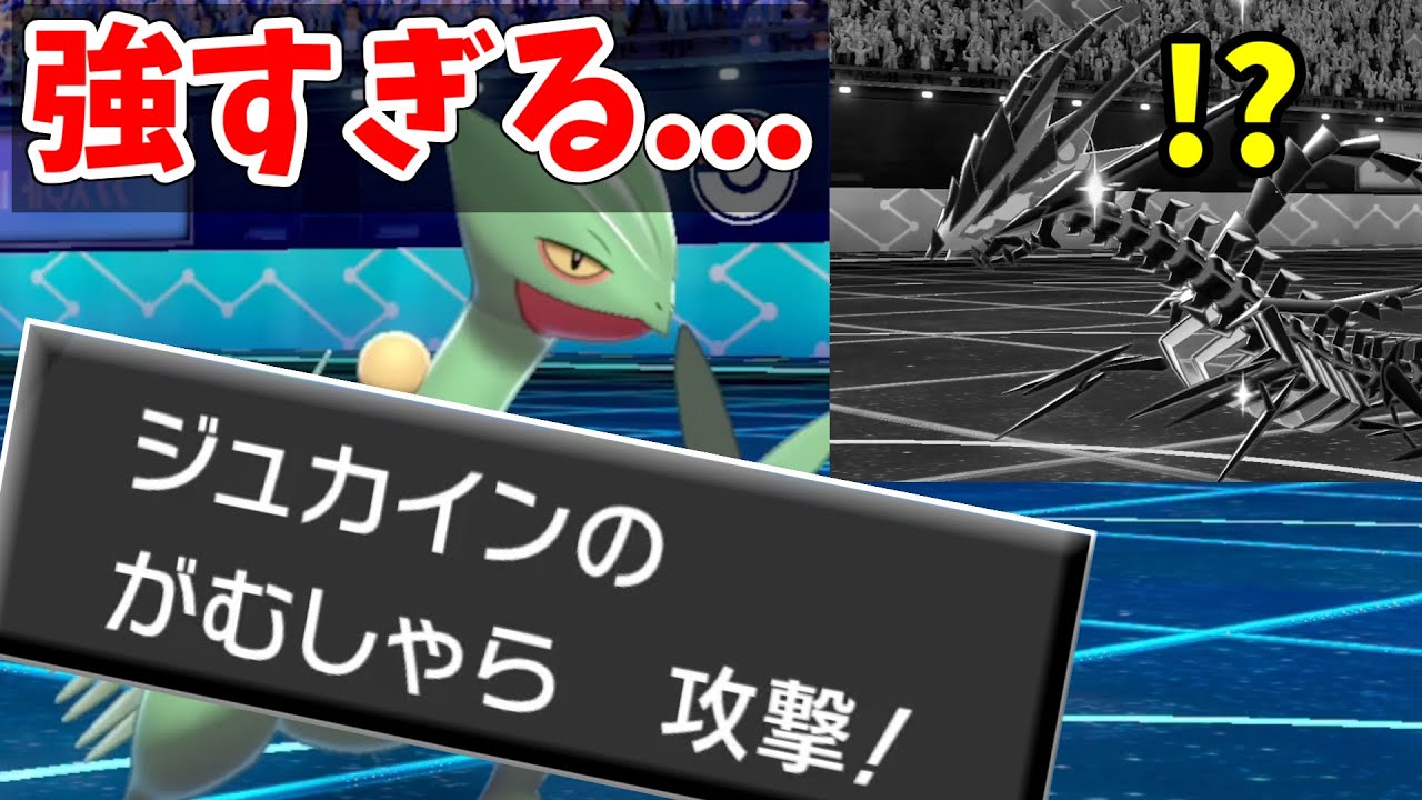 【ポケモン剣盾】理論上全ポケモンに勝てる　古代兵器『襷がむしゃらジュカイン』が現ルールで最強すぎる件