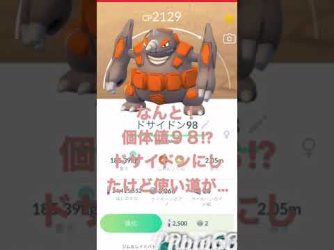 サイドン＠個体値98