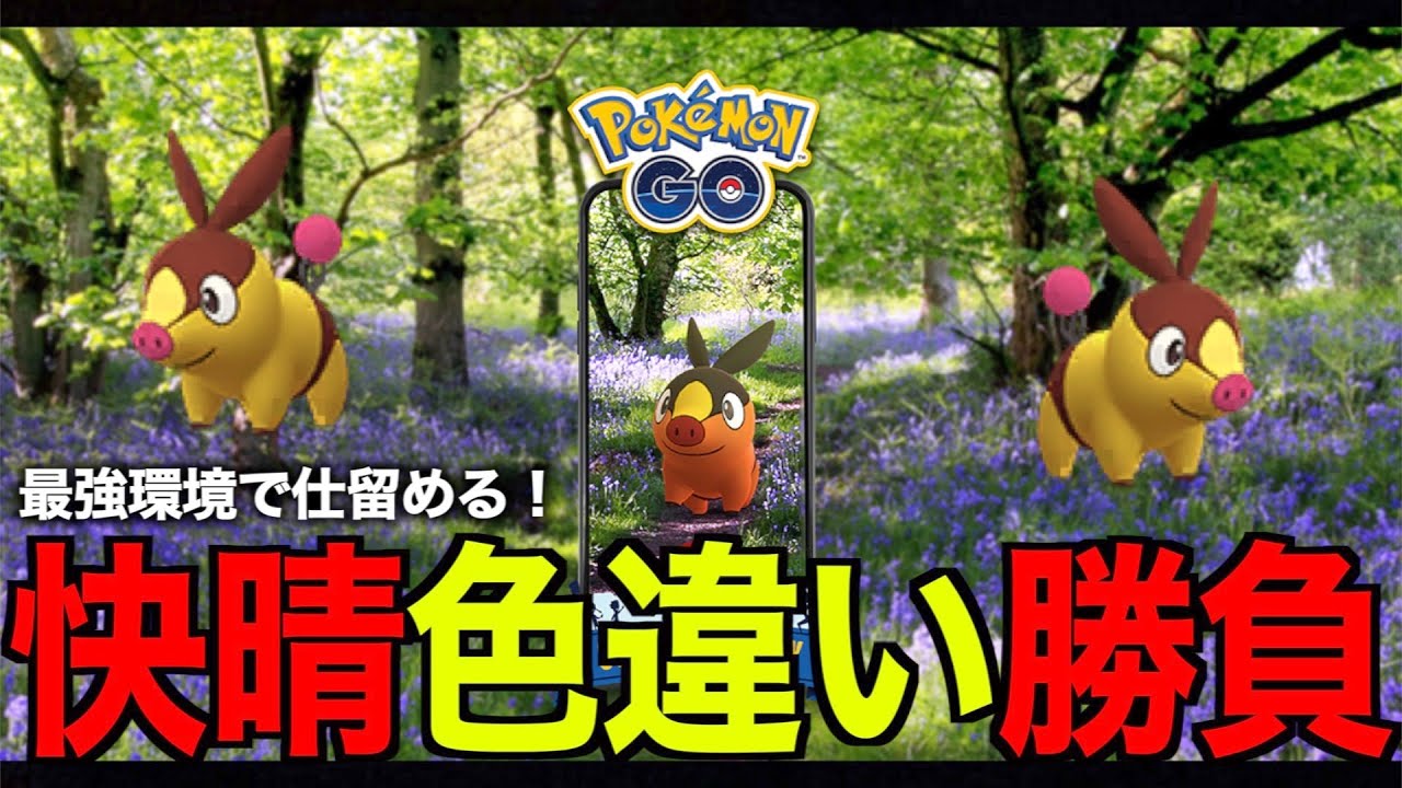 ポカブコミュニティデイ豚丼勝負でまたもや地獄へ突き落とされる秋田人【ポケモンGO】