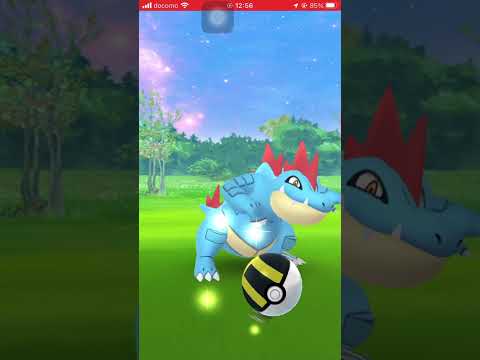 家の中に野生のオーダイル出現!!【ポケモンGO】