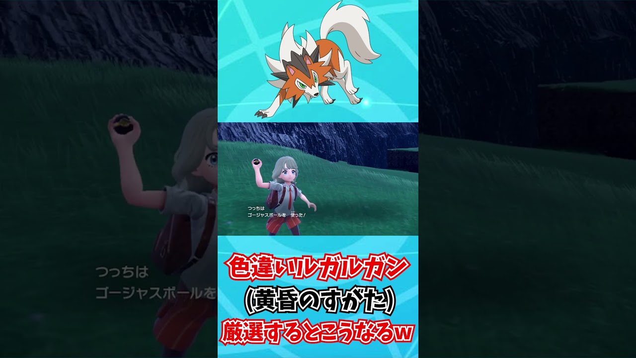 【ポケモンSV】ルガルガン黄昏のすがたの色違い厳選したらこうなりますｗｗｗｗｗｗ【ポケモンバイオレットスカーレット】
