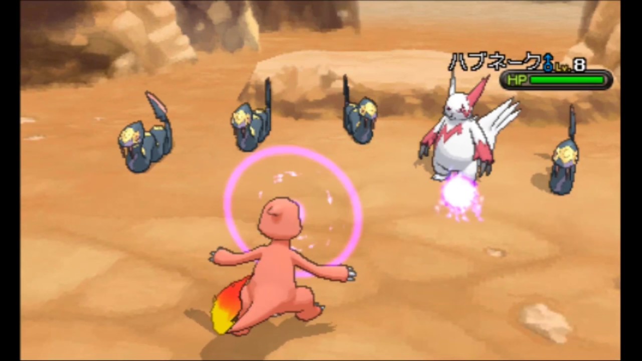 【ポケモンY】ハブネークの群れ　＜ハブネークゲット＞