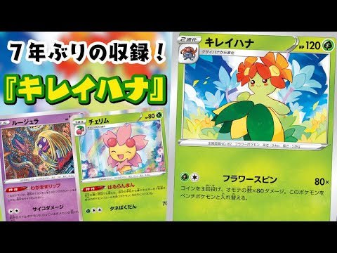 【ポケカ対戦】ダメージ与えながらベンチと入れ替える！『キレイハナ』デッキレシピ有【パラダイムトリガー/しょこらてぃえ】