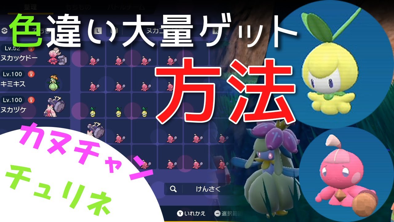 【ポケモンSV】色違い カヌチャン・チュリネ を大量ゲットする時に重要な事を紹介します！
