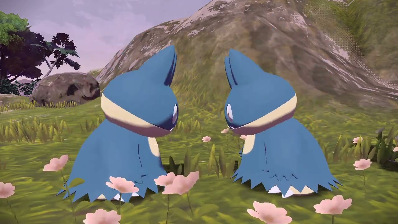 仲良しゴンベの可愛いやり取り(？)【Pokémon  LEGENDS  アルセウス】