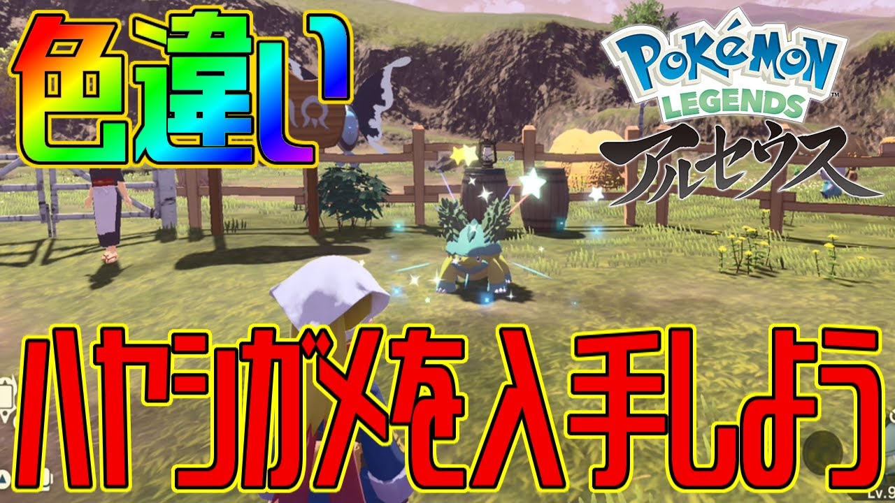 【ポケモンアルセウス】色違いハヤシガメを入手しよう 進化入手【Pokémon LEGENDS アルセウス】