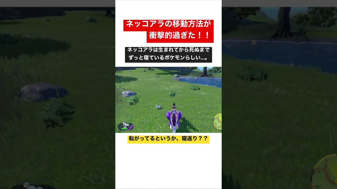 まさかの移動方法！ネッコアラ！【ポケモンSV】