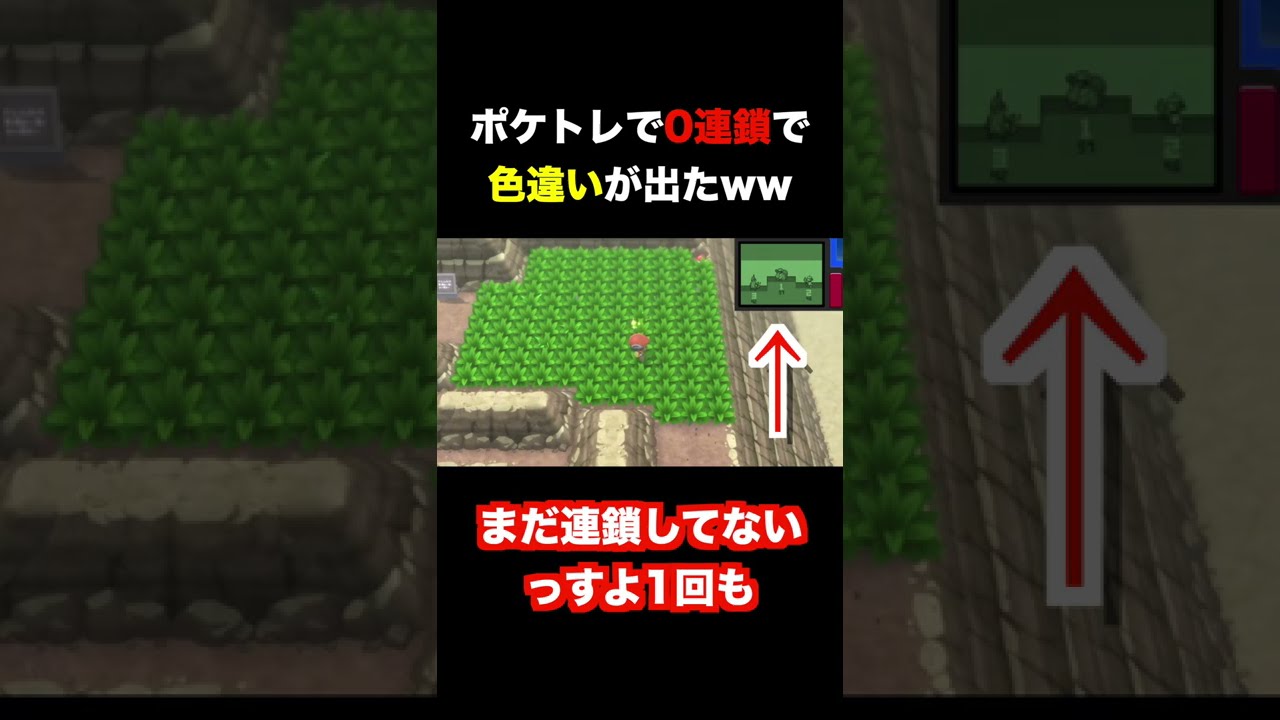 【最高】ポケトレで0連鎖で色違いが出たww【BDSP/ダイパリメイク】