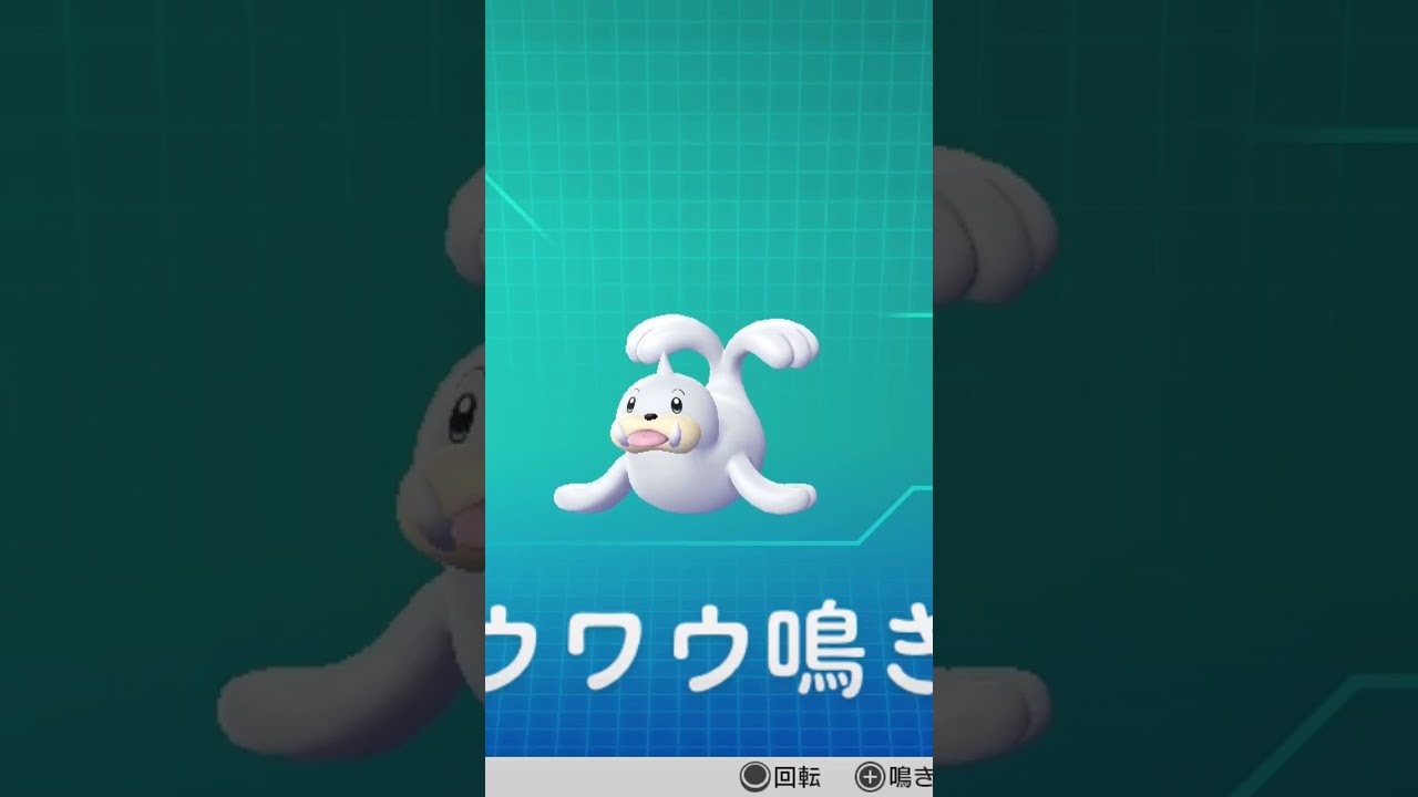 ピカブイ【図鑑NO086】パウワウ鳴き声#ポケモン鳴き声 #図鑑コンプ #レッツゴーピカチュウ #レッツゴーイーブイ#ポケモン生態#パウワウ動き#Seel