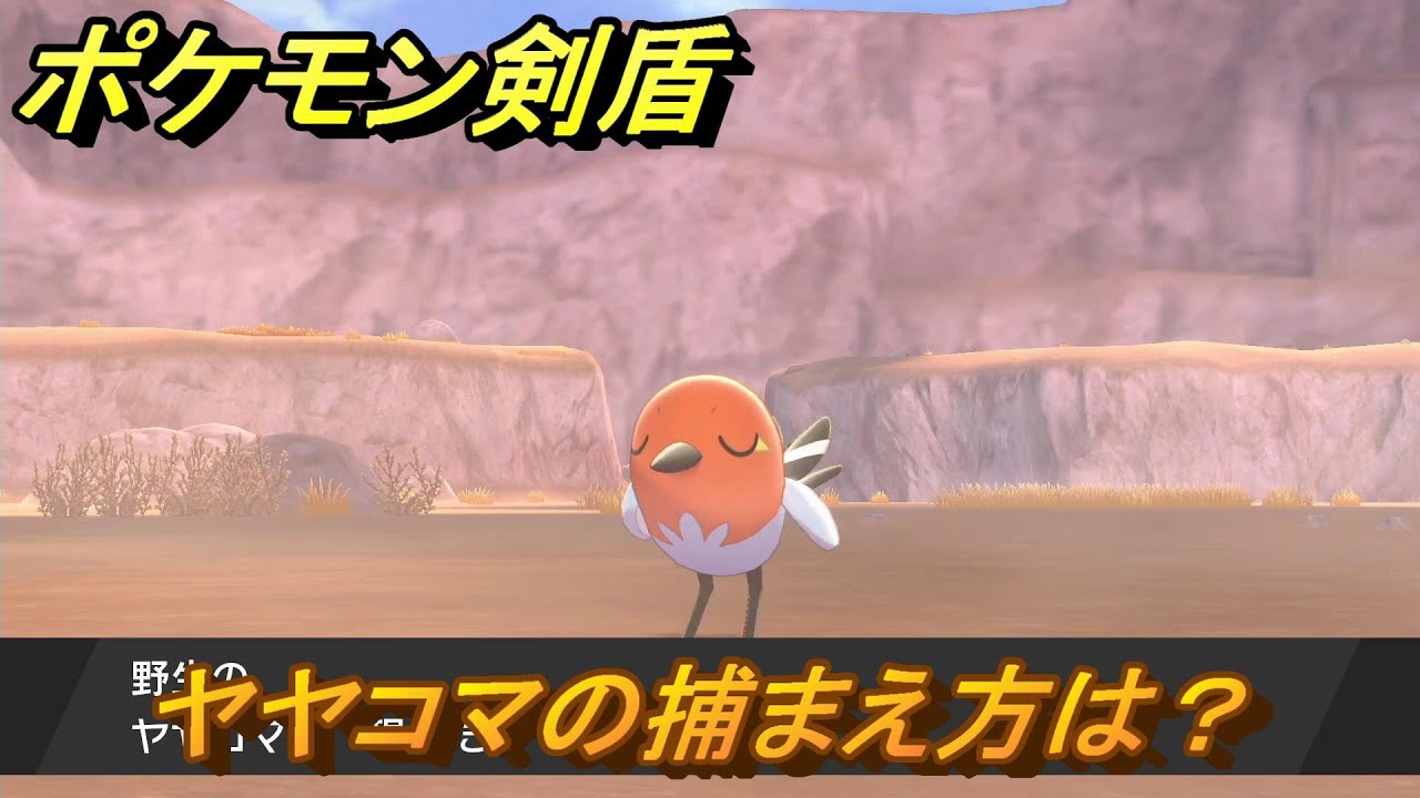 ポケモン剣盾　ヤヤコマを捕まえる方法！オススメの場所は？天気は？ポケモン図鑑コンプへの道！　最新版【ポケモンソード・シールド】